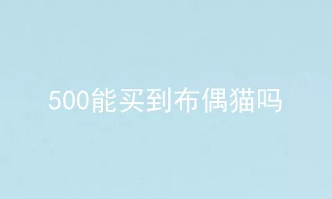 500能买到布偶猫吗