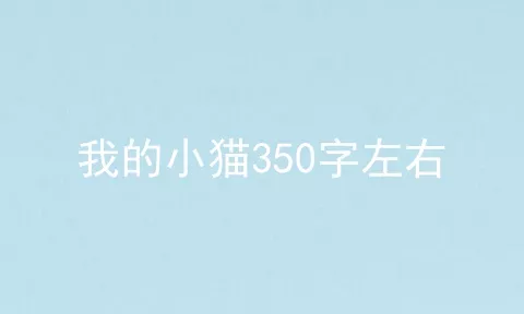 我的小猫350字左右