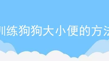 训练狗狗大小便的方法