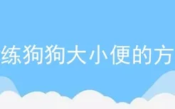 训练狗狗大小便的方法