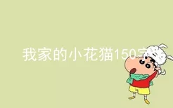 我家的小花猫150字