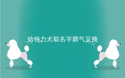 给格力犬取名字霸气又拽