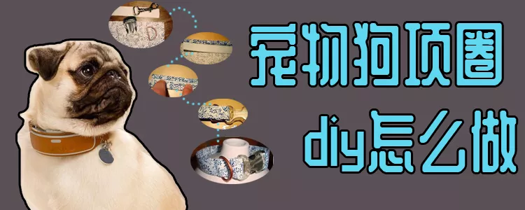 宠物狗项圈diy怎么做