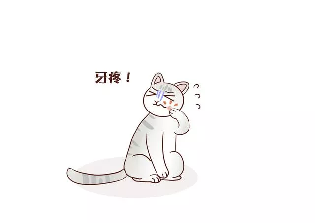 猫几个月算成年(美短猫几个月算成年)