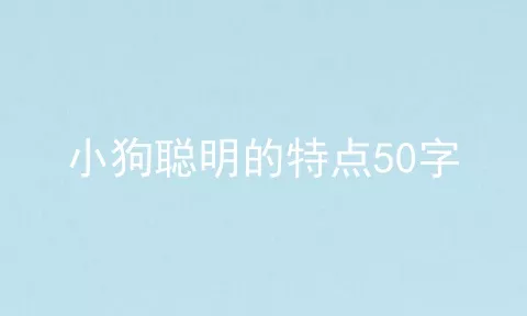 小狗聪明的特点50字