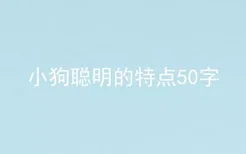 小狗聪明的特点50字