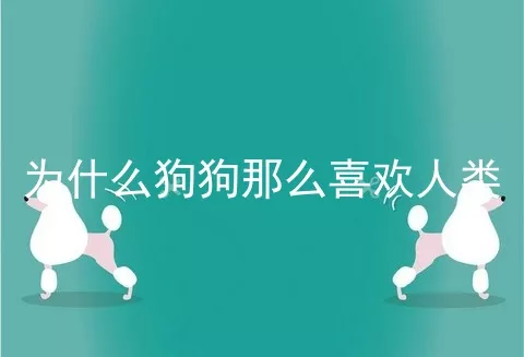 为什么狗狗那么喜欢人类