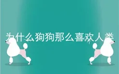 为什么狗狗那么喜欢人类