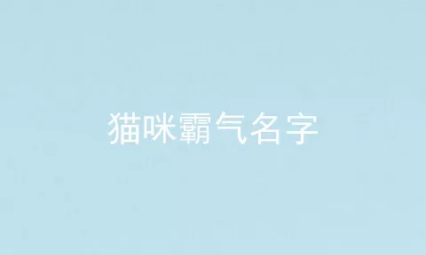 猫咪霸气名字