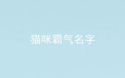 猫咪霸气名字