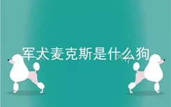 军犬麦克斯是什么狗