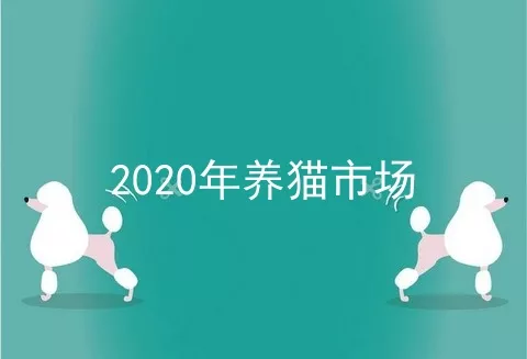 2020年养猫市场