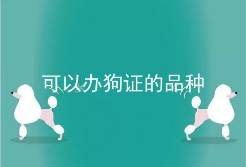 可以办狗证的品种