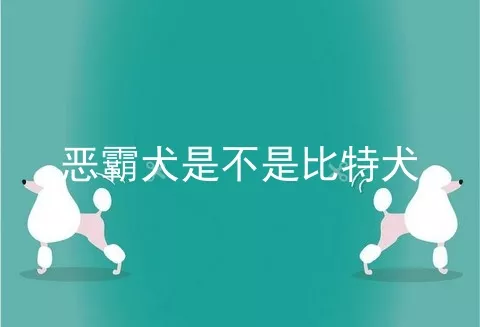 恶霸犬是不是比特犬