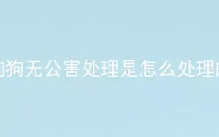 狗狗无公害处理是怎么处理的