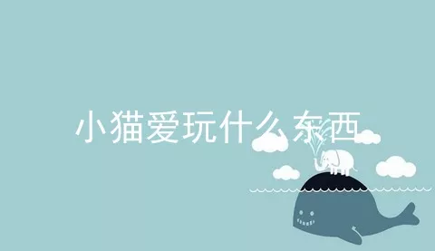 小猫爱玩什么东西