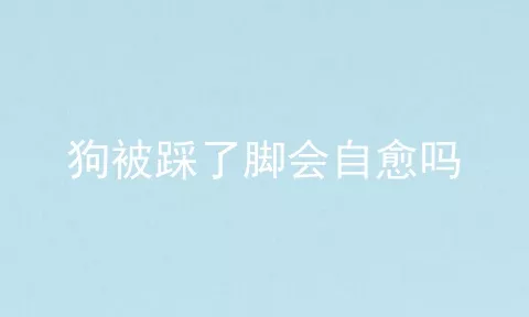 狗被踩了脚会自愈吗