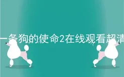 一条狗的使命2在线观看超清