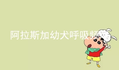 阿拉斯加幼犬呼吸频率