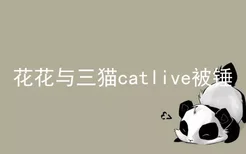 花花与三猫catlive被锤