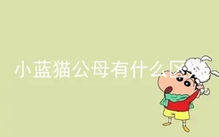 小蓝猫公母有什么区别