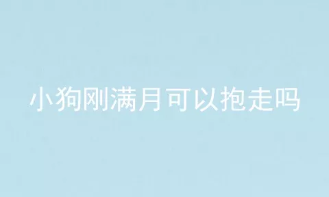 小狗刚满月可以抱走吗