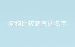 狗狗比较霸气的名字