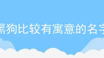 黑狗比较有寓意的名字