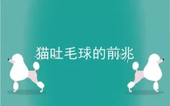 猫吐毛球的前兆