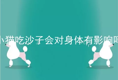 小猫吃沙子会对身体有影响吗