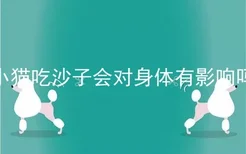 小猫吃沙子会对身体有影响吗