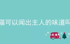 猫可以闻出主人的味道吗