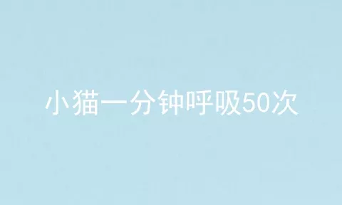 小猫一分钟呼吸50次