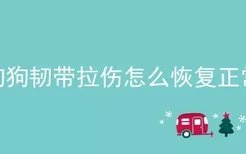 狗狗韧带拉伤怎么恢复正常