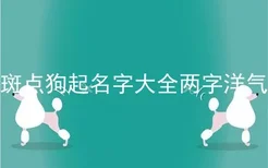 斑点狗起名字大全两字洋气