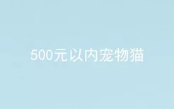 500元以内宠物猫