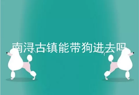 南浔古镇能带狗进去吗