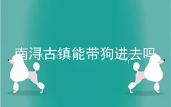 南浔古镇能带狗进去吗