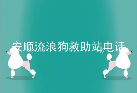 安顺流浪狗救助站电话