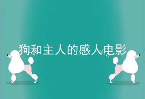 狗和主人的感人电影