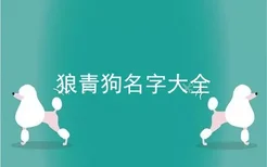 狼青狗名字大全