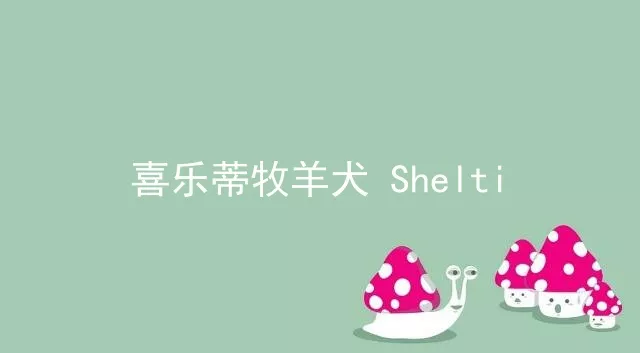 喜乐蒂牧羊犬Shelti