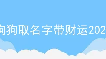 狗狗取名字带财运2020