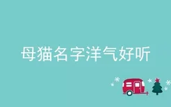 母猫名字洋气好听