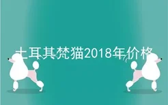 土耳其梵猫2018年价格