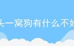 头一窝狗有什么不好