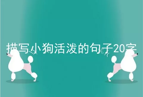 描写小狗活泼的句子20字