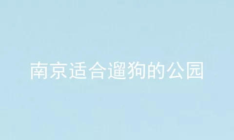 南京适合遛狗的公园