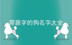 带狼字的狗名字大全