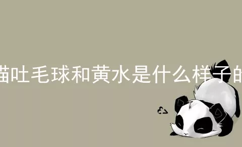 猫吐毛球和黄水是什么样子的